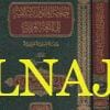 حاجة العلوم الاسلامية الى اللغة العربية | حسن يشو