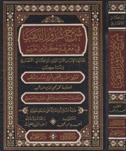 دراسات في علوم اللغة