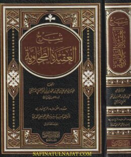 شرح العقيدة الطحاوية | أبن أبي العز الحنفي | ط. دار الميراث النبوي