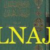 الدامغ للباطل من مذهب الحنابلة | شمس الدين جعفر بن أحمد البهلولي | ط. دار نقطة