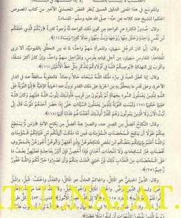 المفاتيح القرانية لكتاب العبادلة لابن العربي - عبد الباقي مفتاح - دار نينوى - التصوف 4