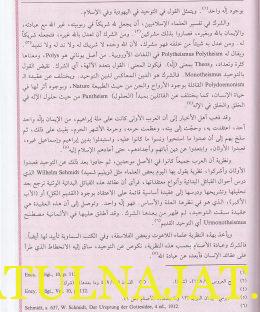 المفصل في تاريخ العرب قبل الاسلام - الدكتور جواد علي - دار احياء التراث - التاريخ الاسلامي 4