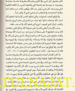 محيي الدين بن عربي وارث الانبياء - وليم تشيتيك - دار نينوى - التصوف 4