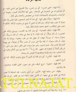 حاشية اللبدي على نيل المآرب في الفقه الحنبلي - عبد الغني بن ياسن اللبدي النابلسي - دار البشائر 2